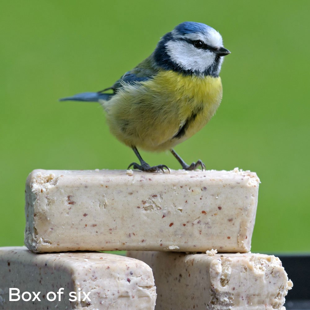 Super Suet Bars x 6 RSPB Shop