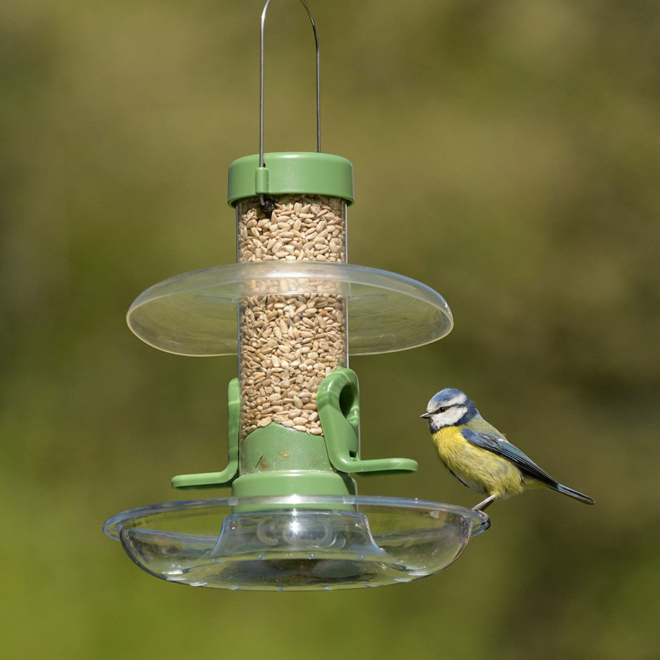 Bird Feeder Rain Guard Rain Away RSPB Shop