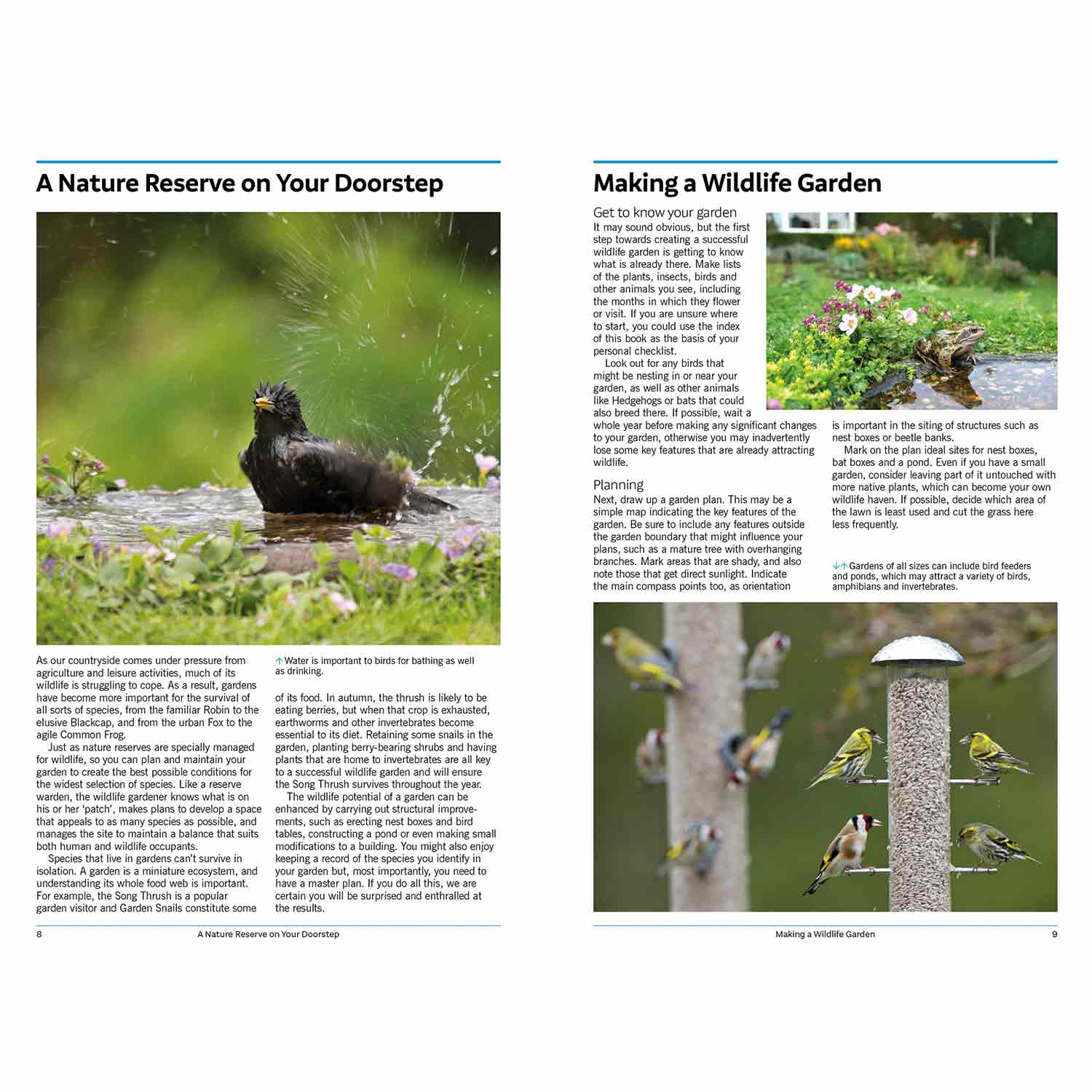 RSPB Handbook of Garden Wildlife, 3rd edition - RSPB Shop