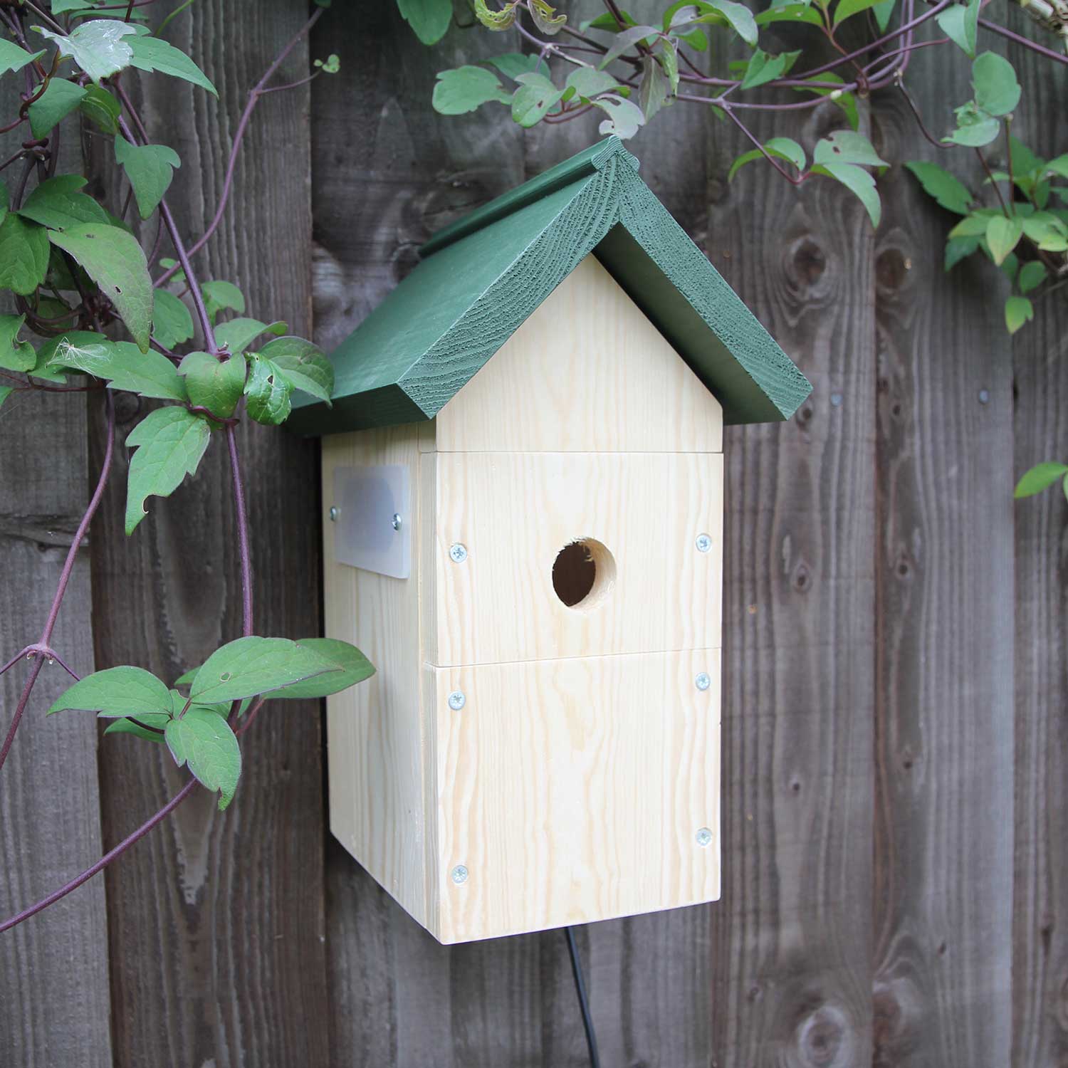 RSPB Nest Box Camera System - RSPB Shop