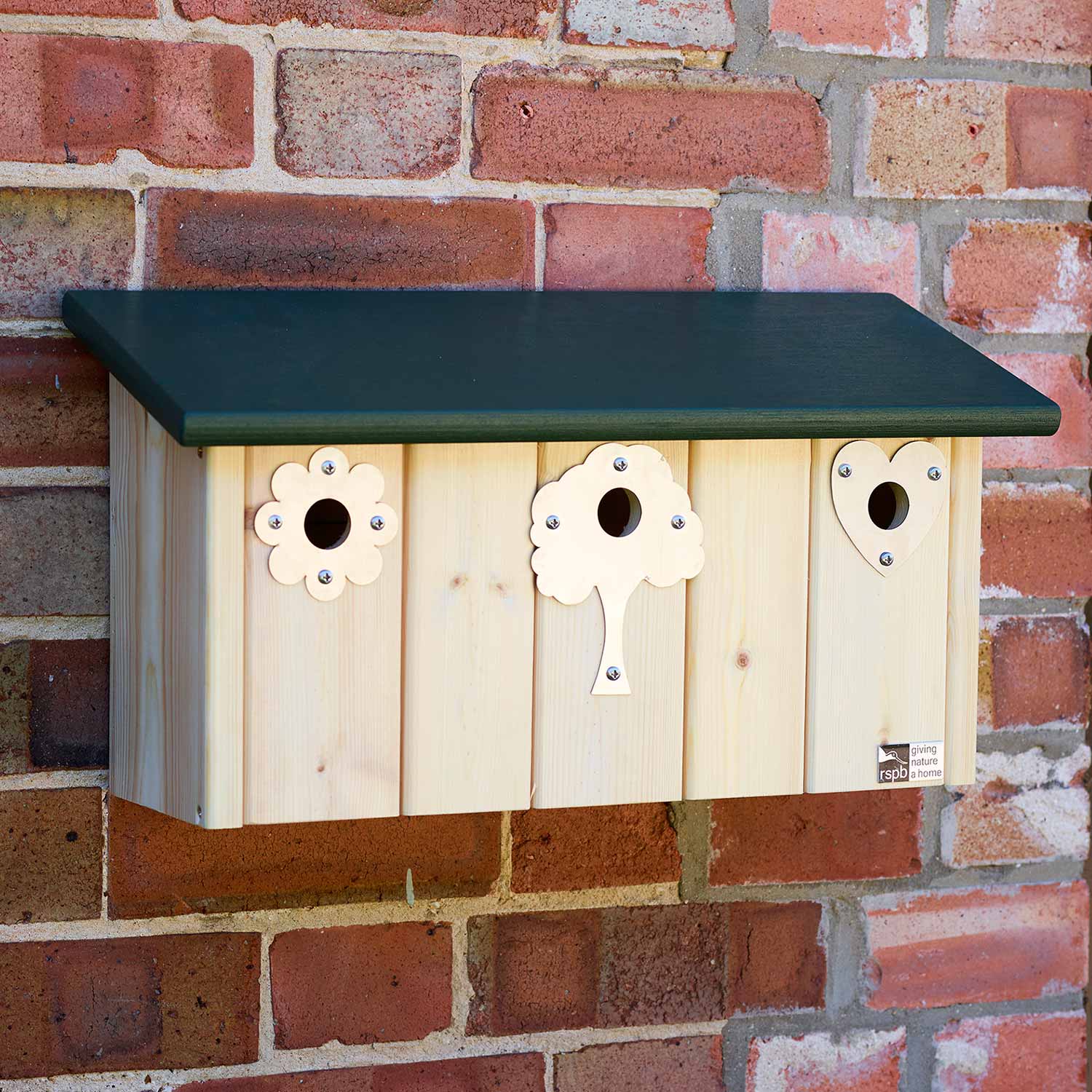 Nest Box Hole Plates | Tree Shaped - RSPB Shop