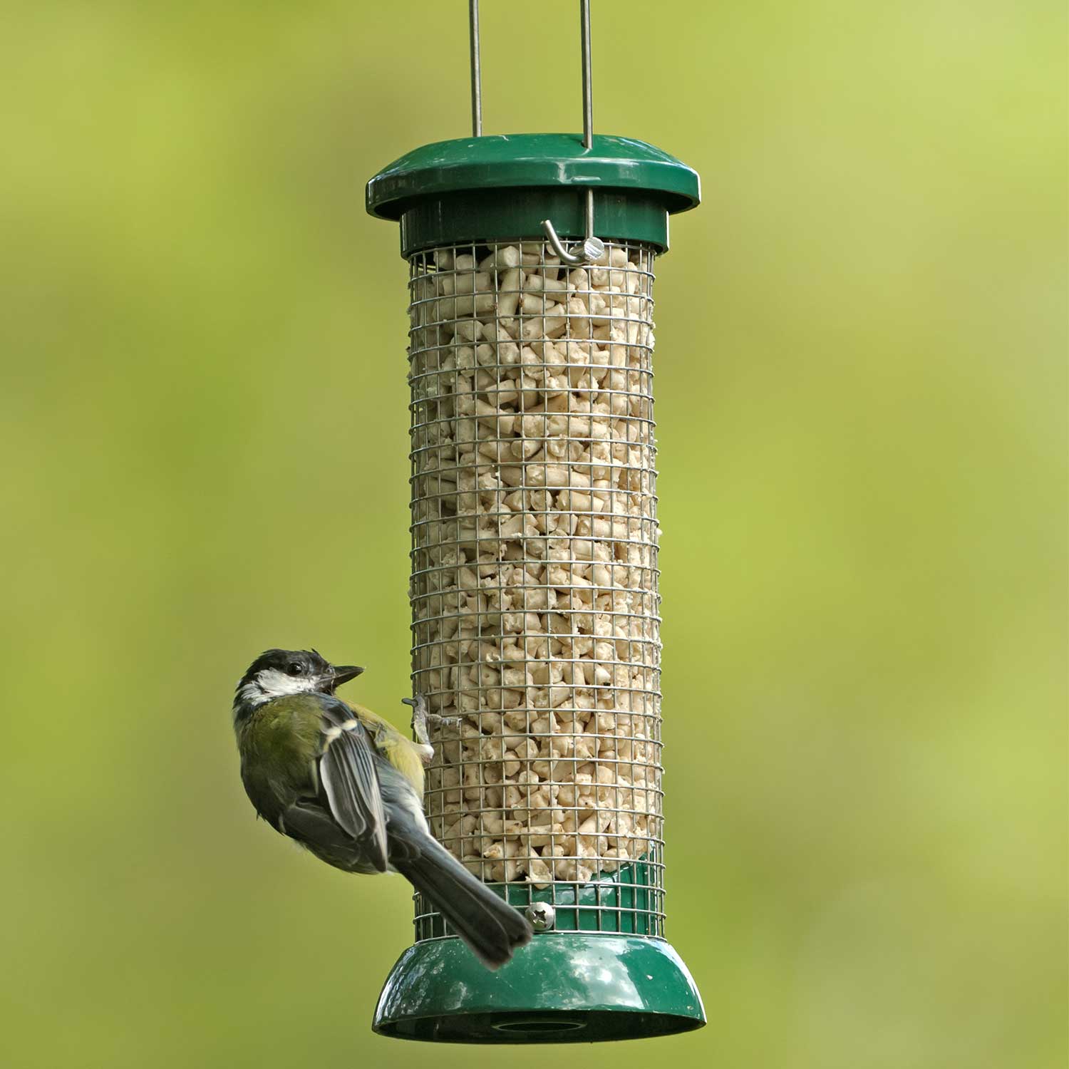 Peanut Feeders & Suet Pellet Feeders RSPB Shop