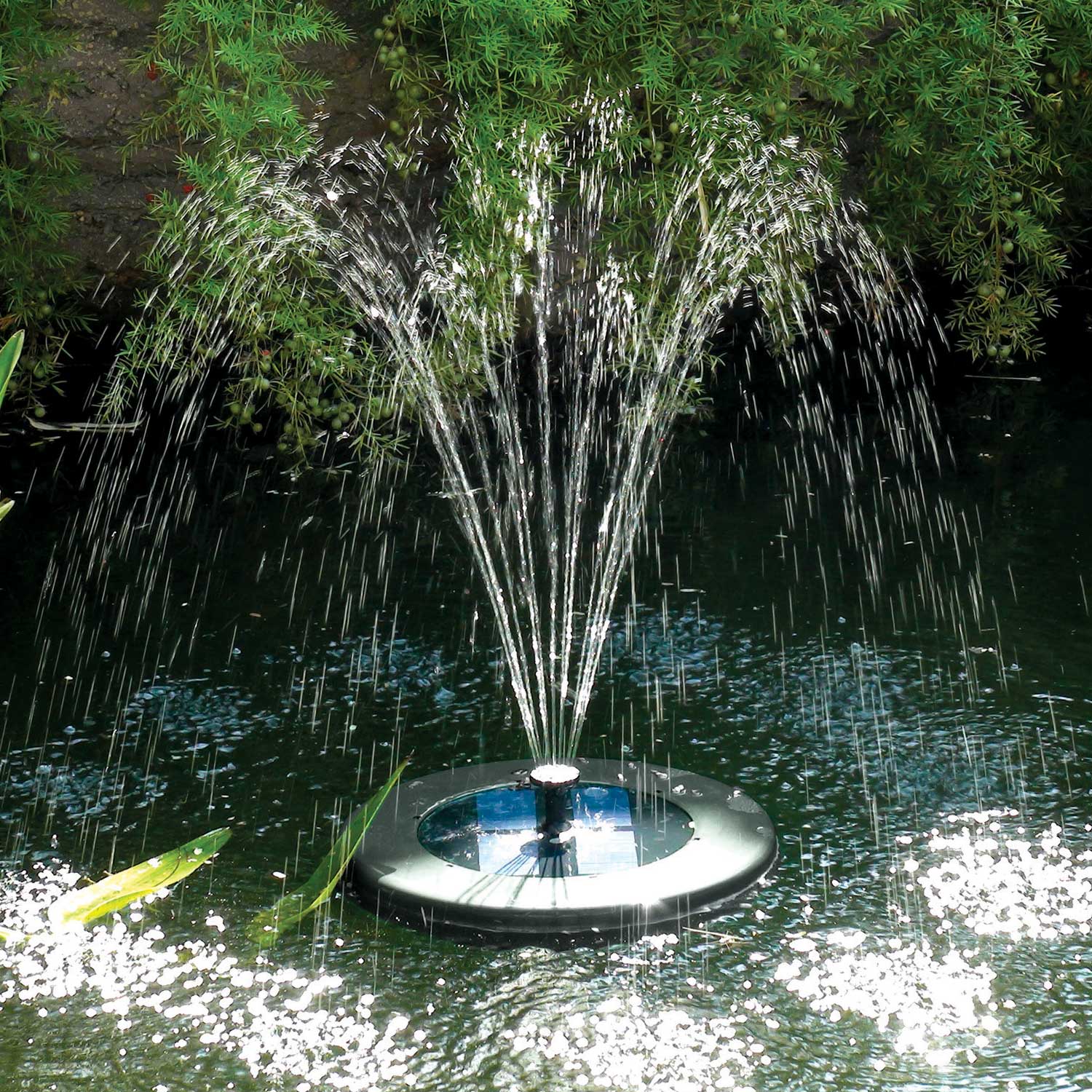 Floating Solar Pond Fountain by SolarShower - RSPB Shop