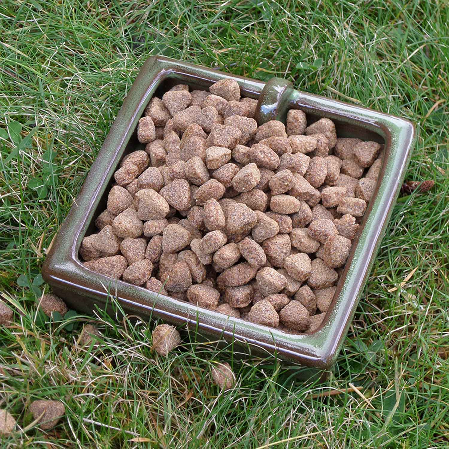 Hedgehog Food Bowl Ceramic Snack Dish RSPB Shop