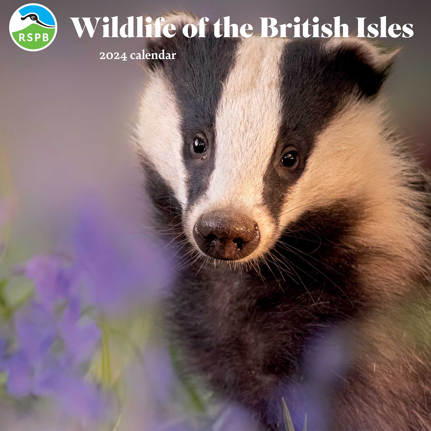 British Wildlife Calendar 2024 (Square) | RSPB Shop
