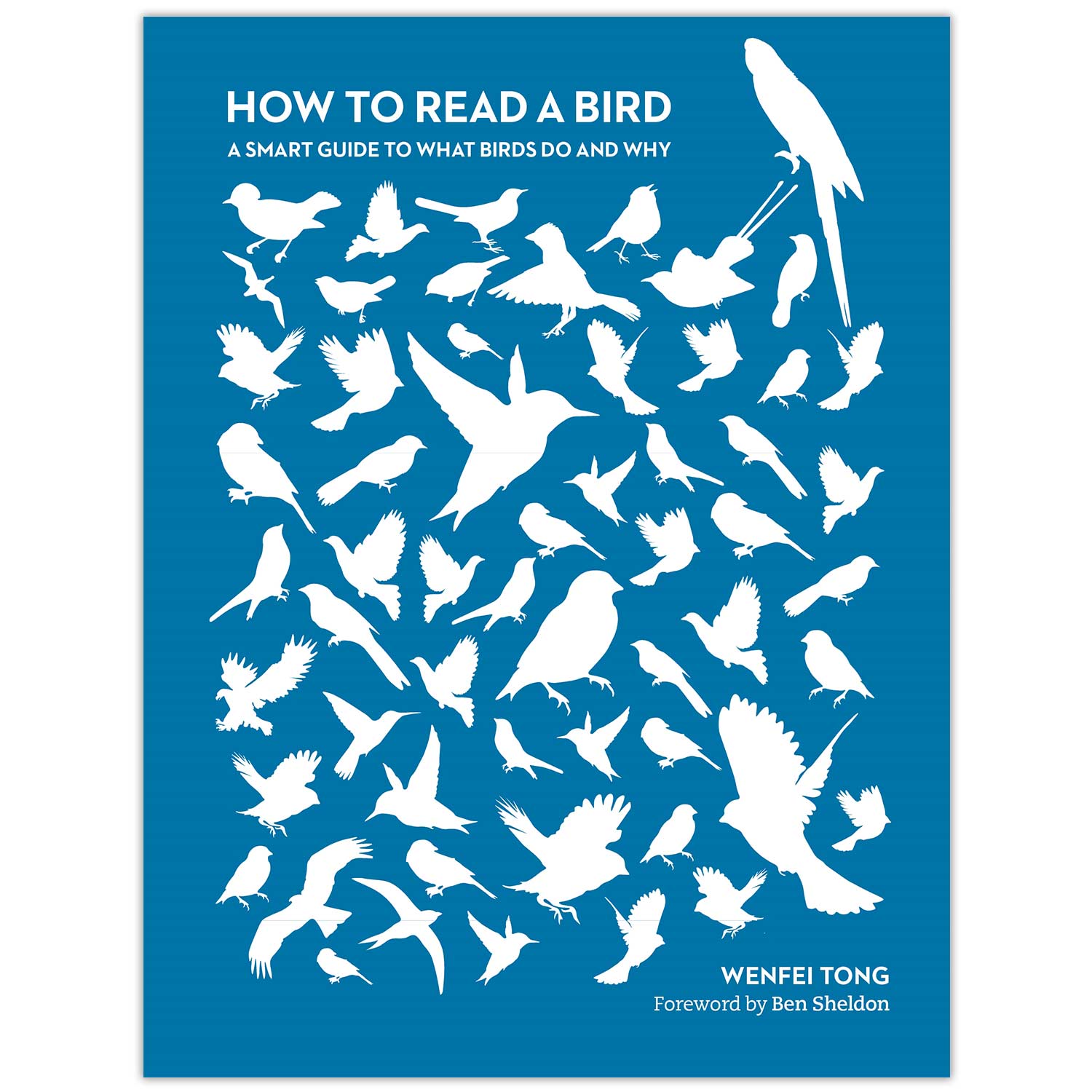 Bird Watching Books Bird & Wildlife Books & Media RSPB Shop