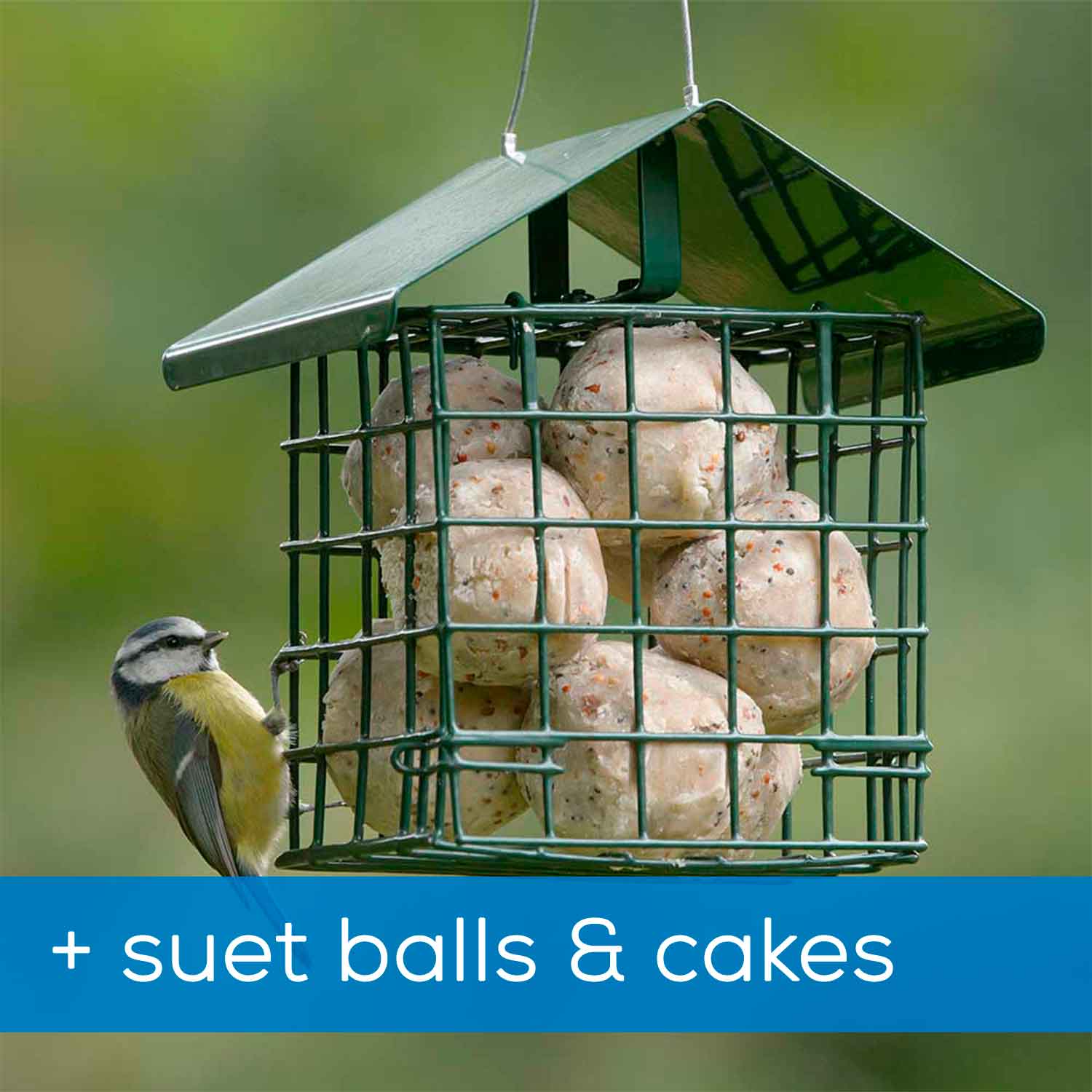 RSPB Dual Suet Feeder, Suet Cakes & Suet Balls RSPB Shop