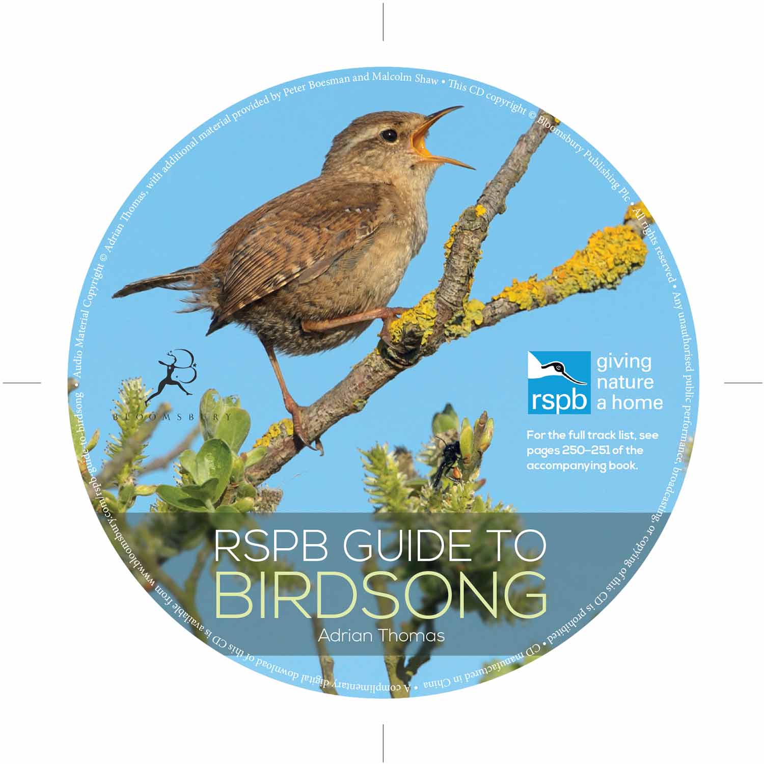 RSPB Guide To Birdsong With CD By Adrian Thomas | RSPB Shop