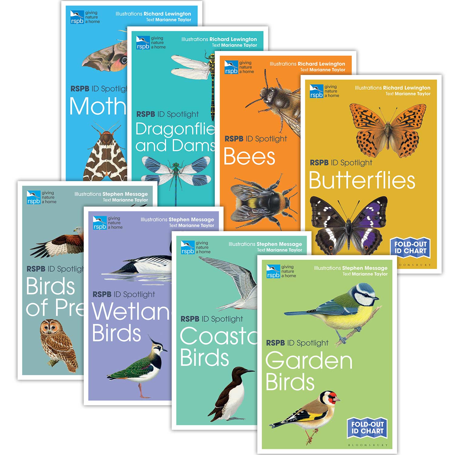 Bird Watching Gifts Present Ideas for Bird Watchers RSPB Shop