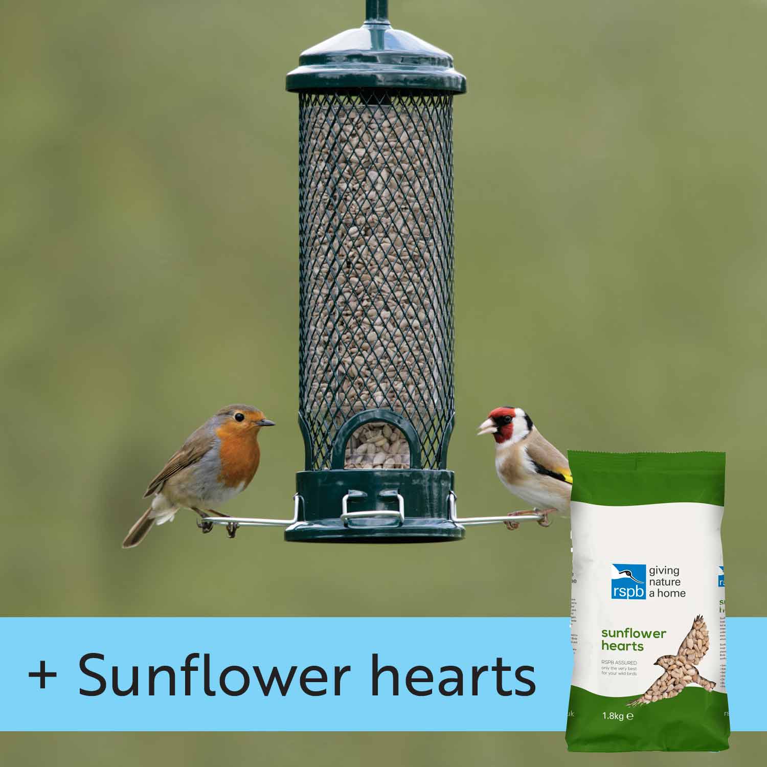 Squirrel Buster Mini and Sunflower hearts product photo