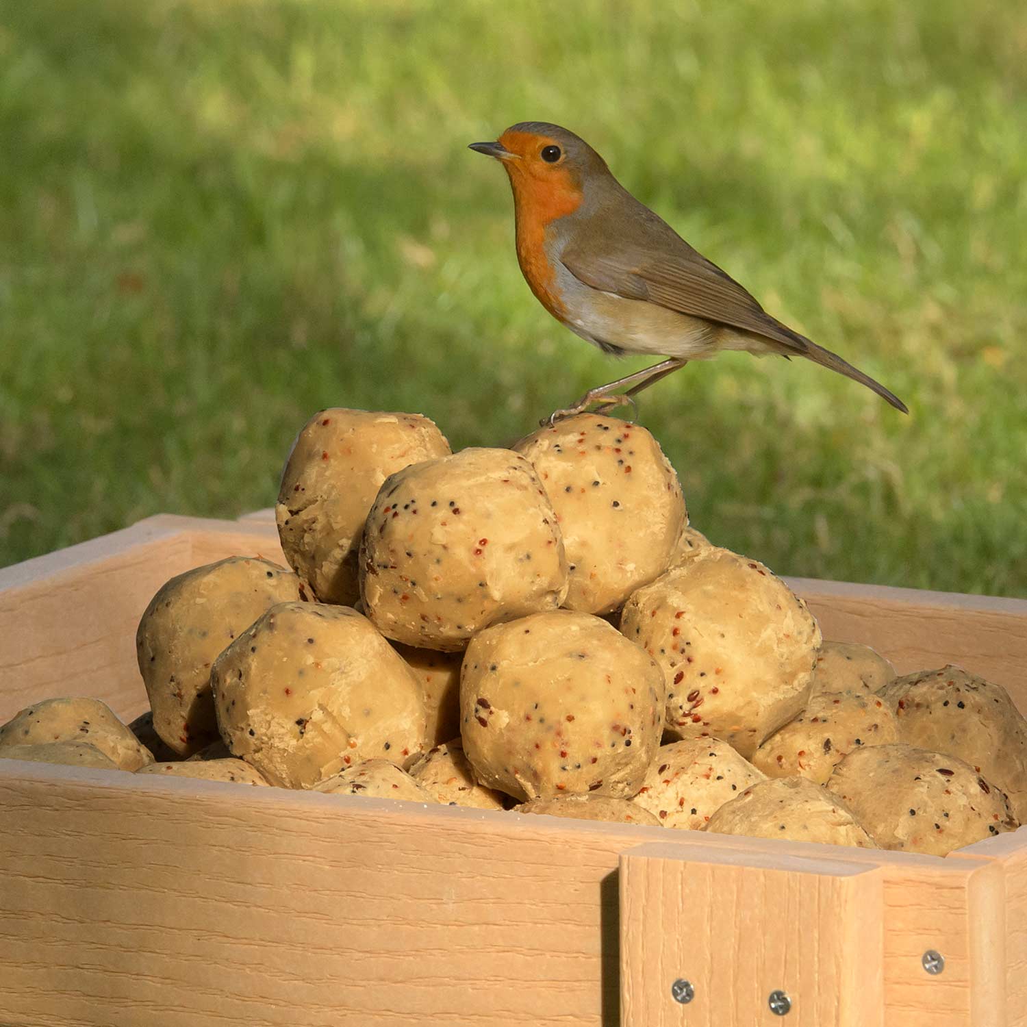 Sunflower Hearts Super Suet Balls Box RSPB Suet Bird Food