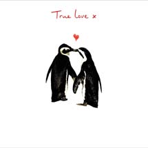 True love penguins Valentine's Day card product photo