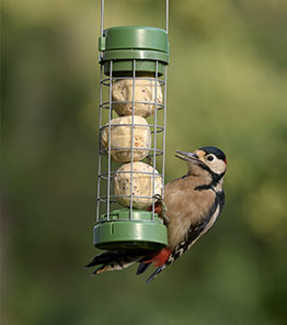 Year-round feeding
