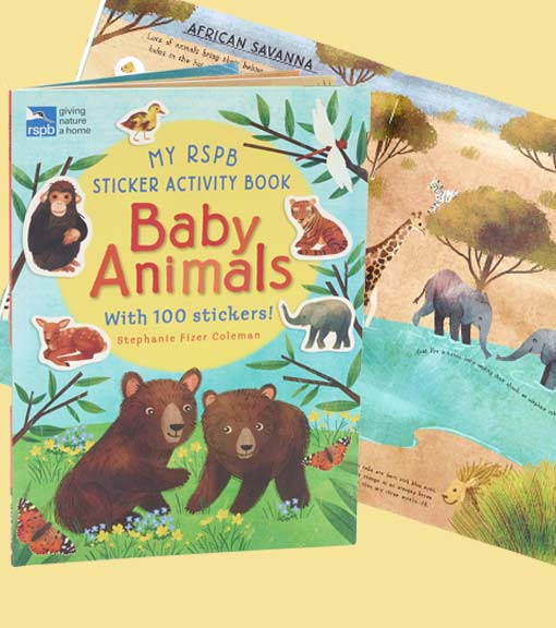 Children's nature activity & story books