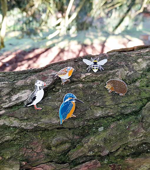 RSPB Pin badges