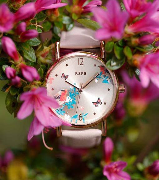 Mother's Day gift ideas