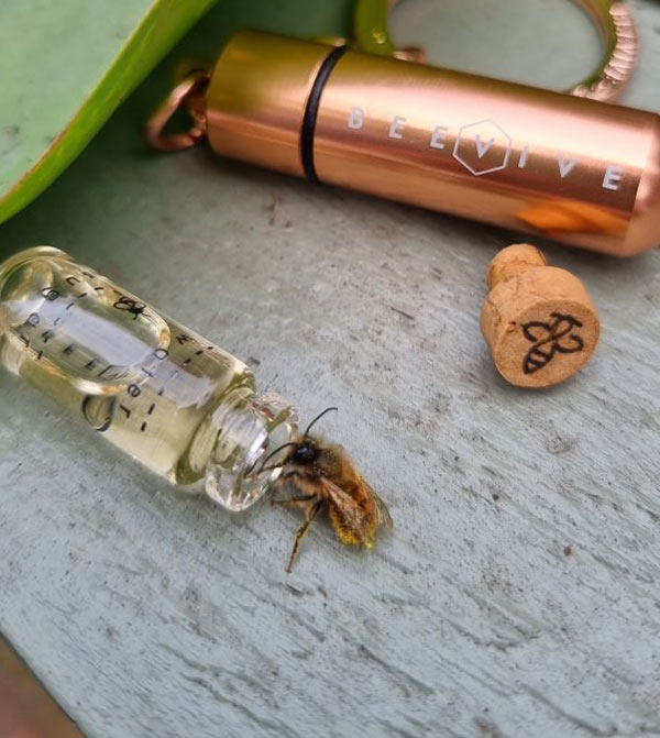 Wildlife garden gift ideas