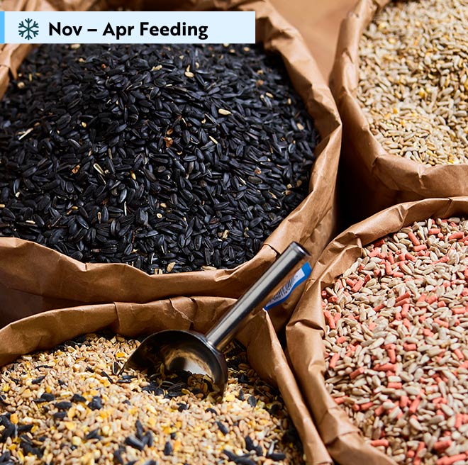 Image of open sacks of bird seed with 'November to April feeding' highlighted. 
