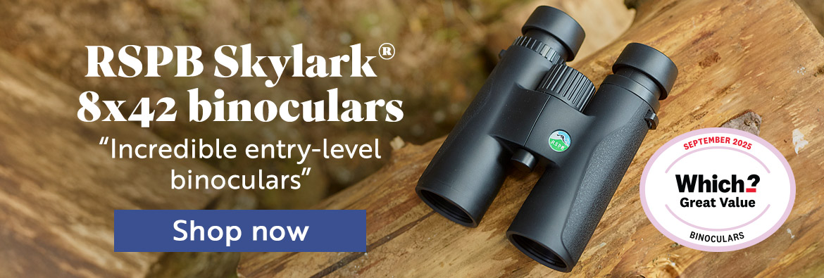 RSPB Skylark 8x42 binoculars Which? Great Value endorsement. "Incredible entry-level binoculars". Shop now!