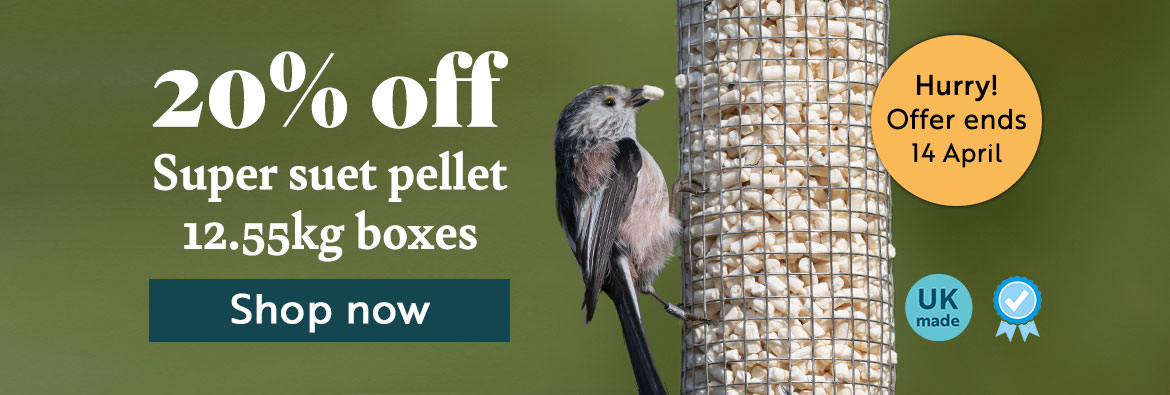 20% off Super suet pellet 12.55kg boxes. Hurry! Offer ends 14th April. Shop now.