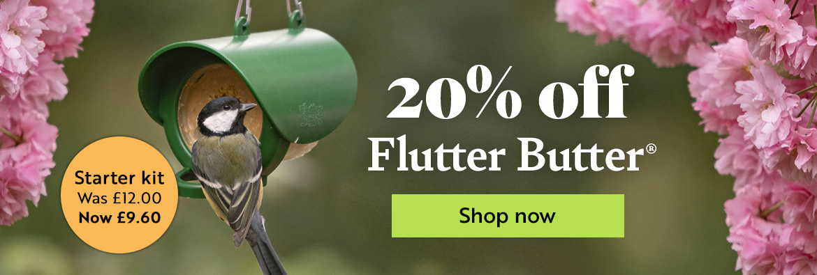 20% off Flutter butter. Starter kit was £12, now £9.60. Shop all Flutter Butter now!