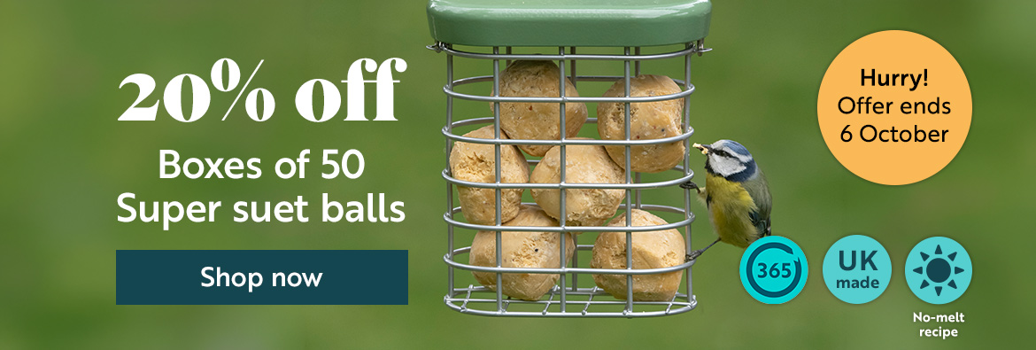 20% off Boxes of 50 Super suet fat balls. Hurry! Offer ends 6th October. Shop now!