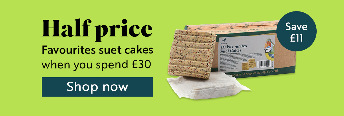 Half price Favourites suet cakes when you spend £30. Save £11! Shop now!