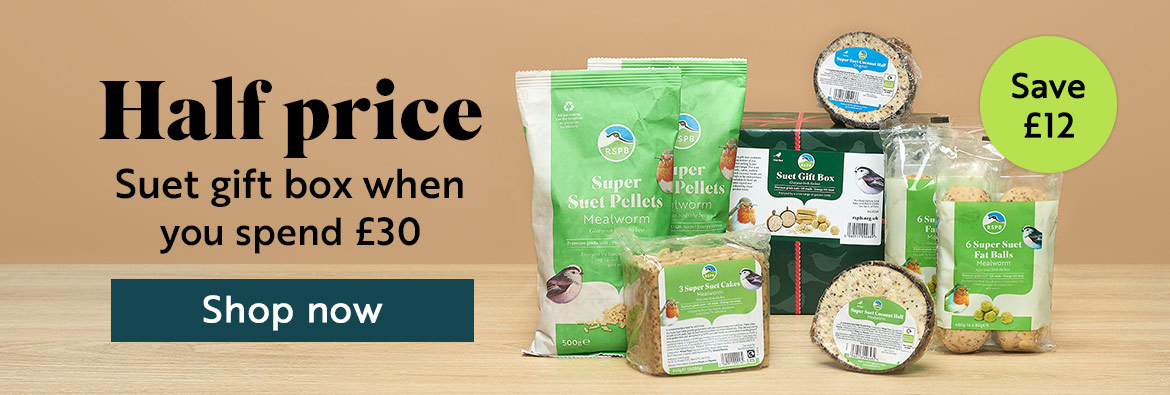 Half price Suet gift box when you spend £30. Save £12. Shop now!