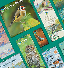 Link to Calendars and diaries category