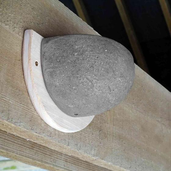 Swallow nest cup product photo front L