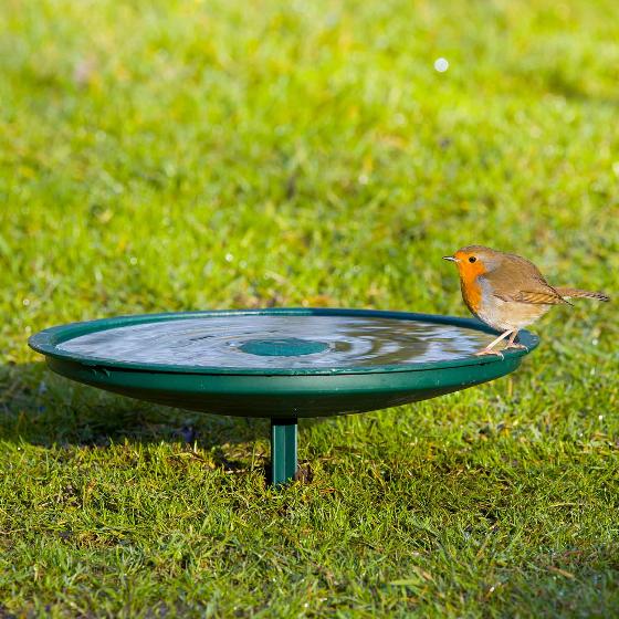 Anywhere bird bath product photo ai5 L
