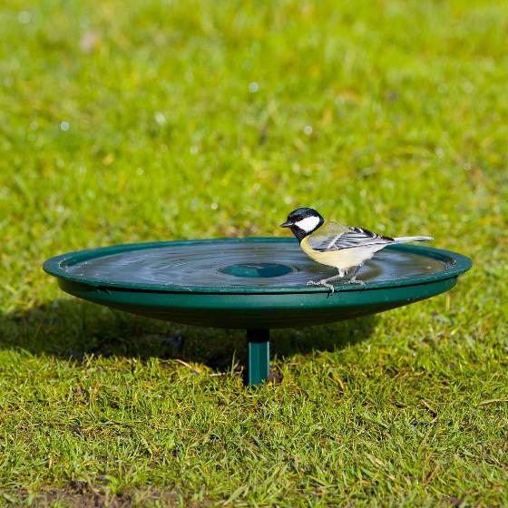 Anywhere bird bath product photo ai4 L