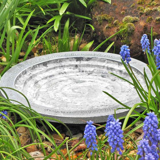 Aristotle Oasis bird bath & drinker product photo side L