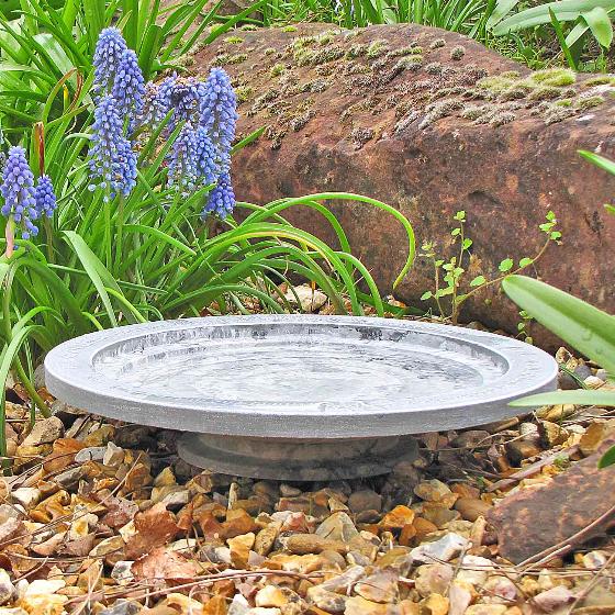 Aristotle Oasis bird bath & drinker product photo back L