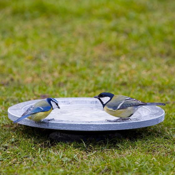 Aristotle Oasis bird bath & drinker product photo front L