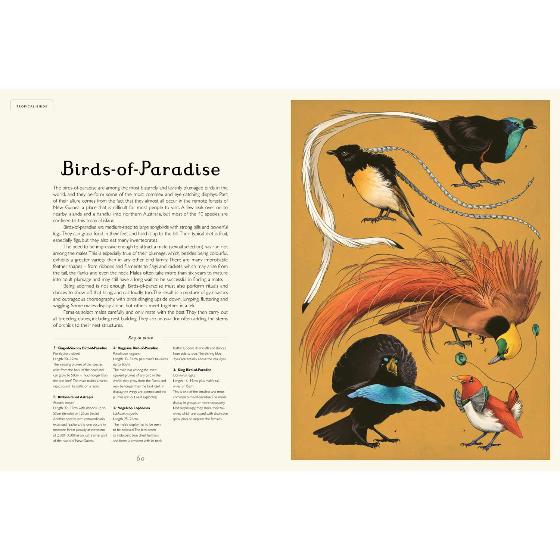 Aviarium by Dominic Couzens product photo ai5 L