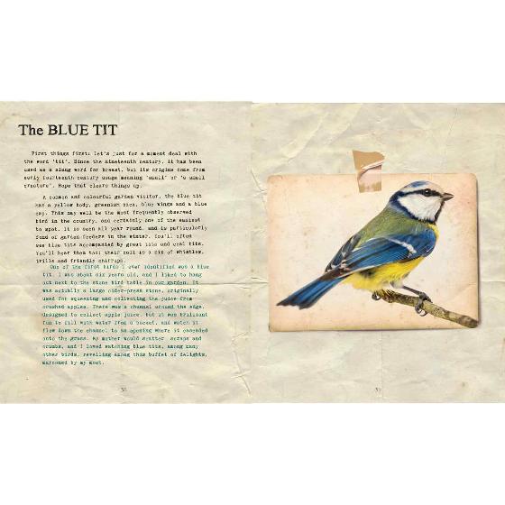 Bill Bailey's remarkable guide to British birds - pocket version product photo front L