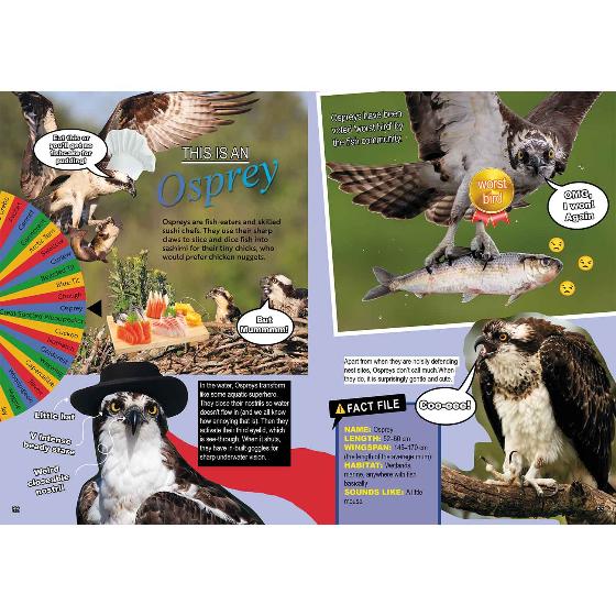 RSPB Bird of the week product photo back L