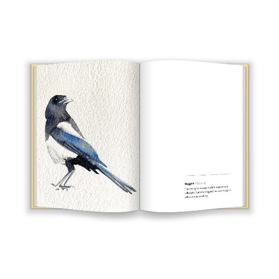 Birds by Jim Moir product photo back L