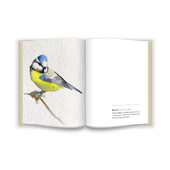 Birds by Jim Moir product photo front L