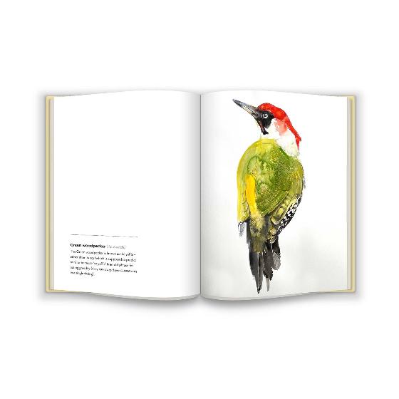 Birds by Jim Moir product photo ai5 L