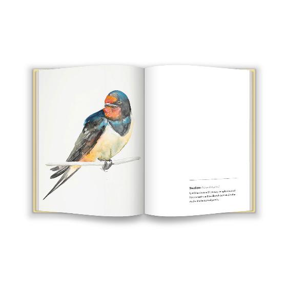 Birds by Jim Moir product photo ai4 L