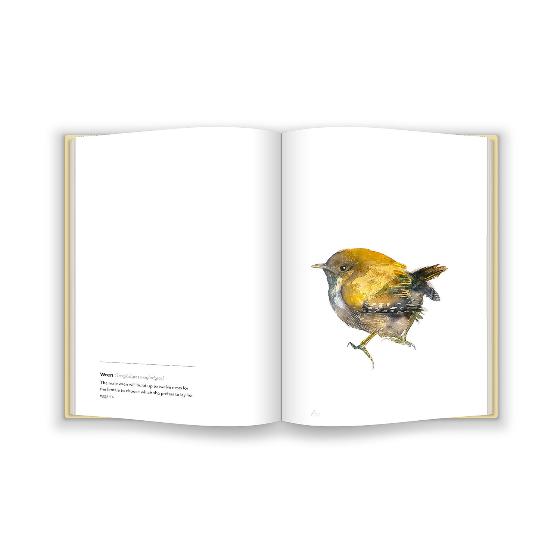 Birds by Jim Moir product photo ai6 L