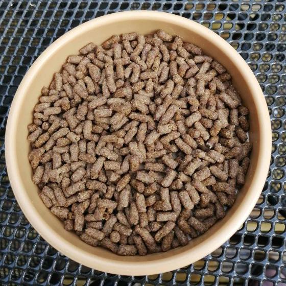 Brambles Hedgehog food semi-moist 850g product photo side L