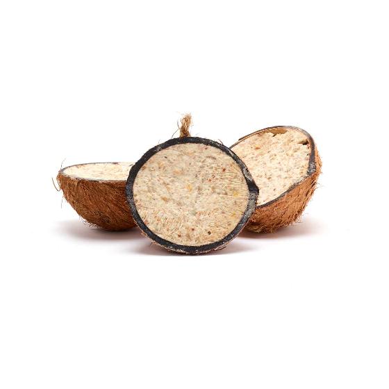 Super suet coconut halves - mealworm x 40 product photo side L