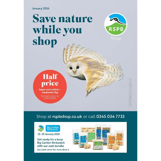 Free catalogue product photo default L