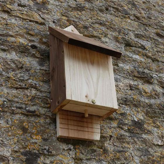 RSPB single chamber bat box product photo front L