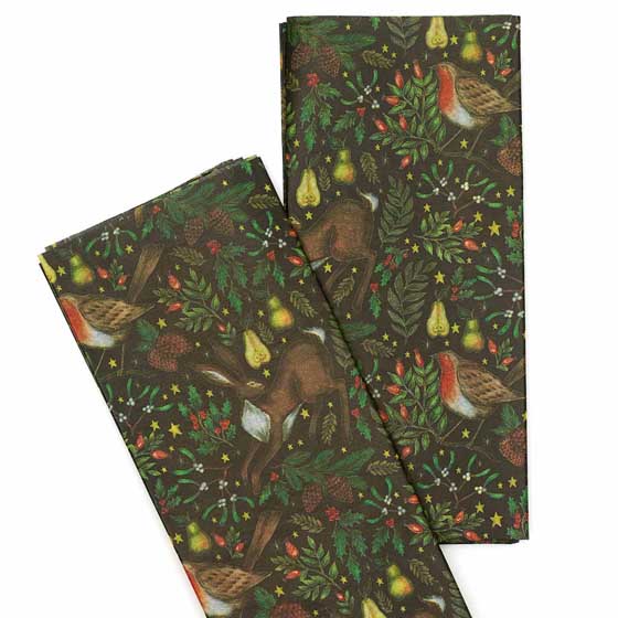 Christmas garden gift bag and tissue paper bundle product photo front L