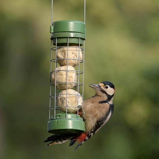 RSPB Classic easy-clean® suet feeder product photo front L