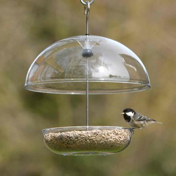 I Love Robins® large dome feeder product photo front L